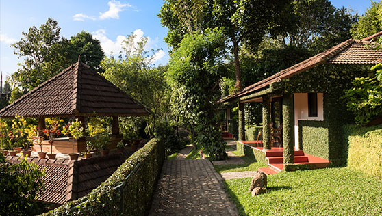 Pathways alongside the cottages in a nature retreat Thekkady